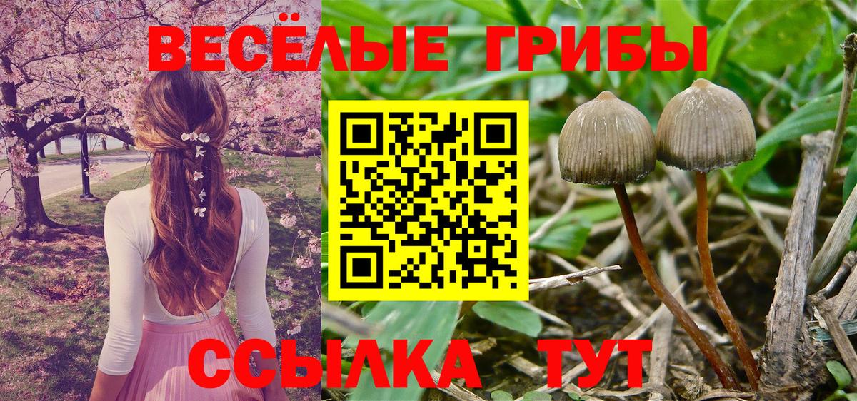 Дербент  Галлюциногенные грибы прущие грибы  где продают   Вход с VPN 