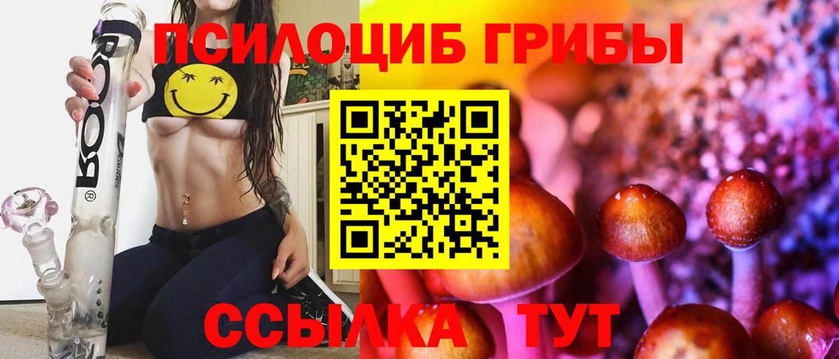Галлюциногенные грибы Psilocybine cubensis Дербент