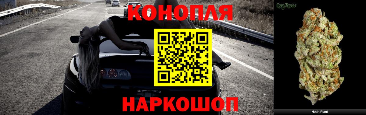 Бошки марихуана семена Дербент